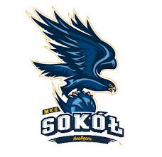 藍色火烈鳥 The Blue Flamingo