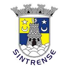 伊姐十一熱推：電視劇《刺殺小說家2》；電視劇《風林火山》