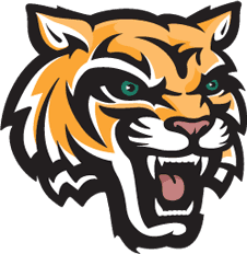 婉言 | 對話喬友林！AI是否能成為基層醫生對抗宮頸癌...