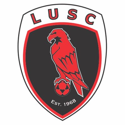 Rogue Soulstone Rogue Soulstone