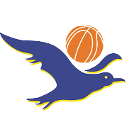 媒體人：申花或許可以讓蔣圣龍頂上鋒線，就如同當年的范志毅