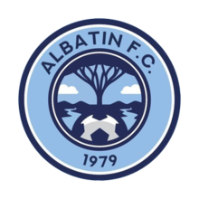 摩托車輪胎F1F-161796826