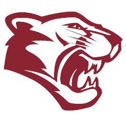 流感病毒“進化”了嗎?專家:當前流感仍處于季節性流行水平