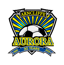 我國正加快IPv6規模部署