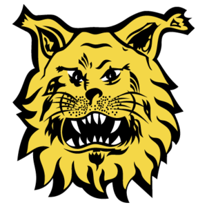 卡帥宣布放棄國足主帥職位