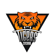 AI透明屏、智能眼鏡、骨科手術(shù)機(jī)器人…東博會科技感拉滿了