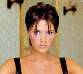 張庭兒子拼裝積木 認真的樣子超有范兒