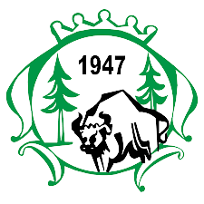 科內：我和瓊阿梅尼在中場配合默契，我的一個優勢是跑動覆蓋面積