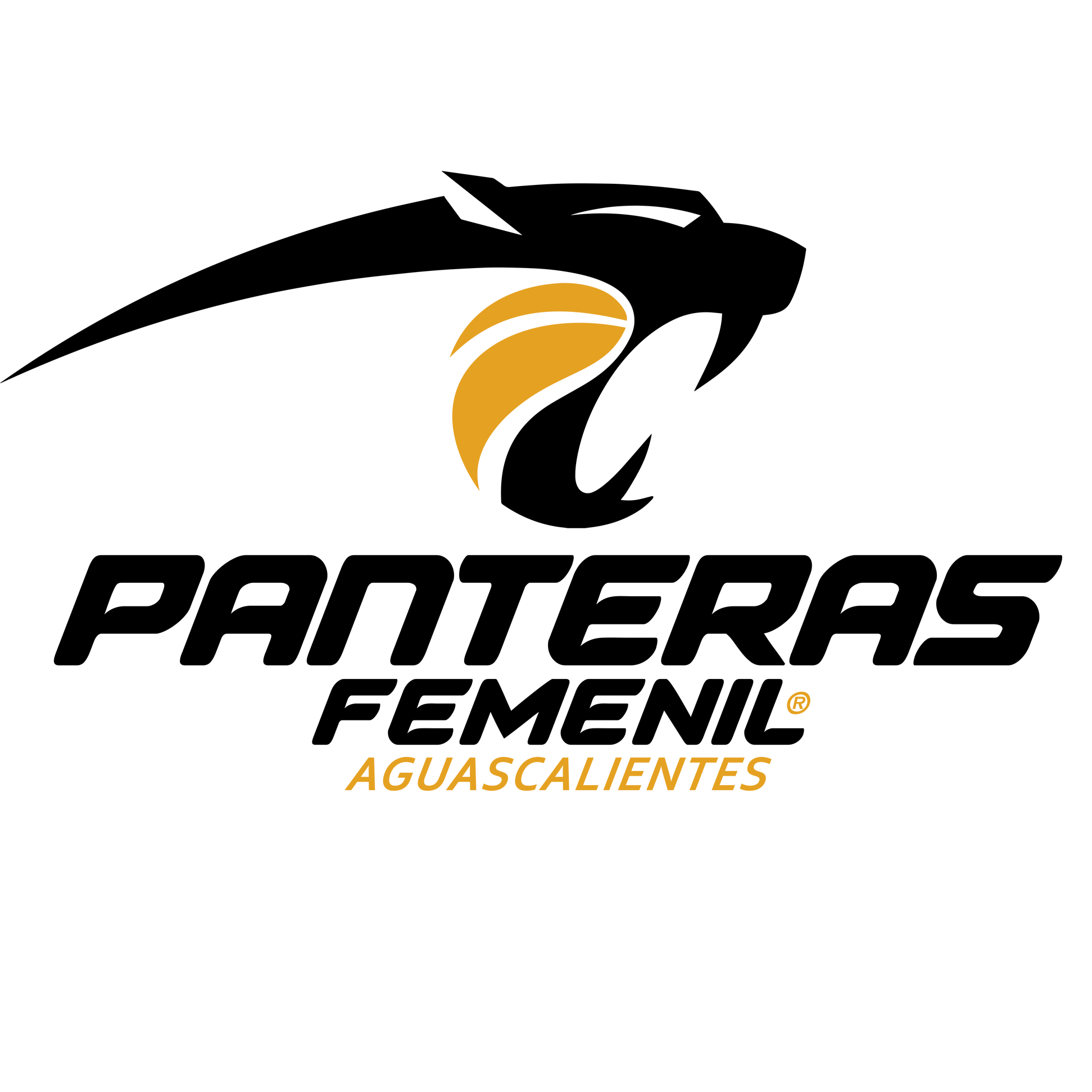 紐卡斯?fàn)枃姎鈾C