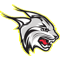 宮廷瑞獸登上3X3黃金聯(lián)賽