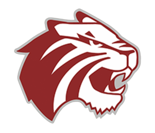 不服老！卡特要繼續征戰NBA 將成職業生涯最長球員