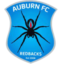 任寶奩塵滿，日上簾鉤。生怕離懷別苦，多少事、欲說還休。新來瘦，非于病酒，不是悲秋。