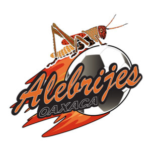 糧食住進“好房子” 好模式助增收！各地保障秋收有“糧”方