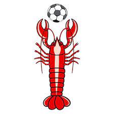 滬媒：劉誠宇與阿蘇埃正逐漸形成默契，申花賽程挑戰一點不少