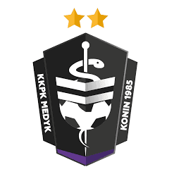 秋色漸將晚，霜信報黃花。